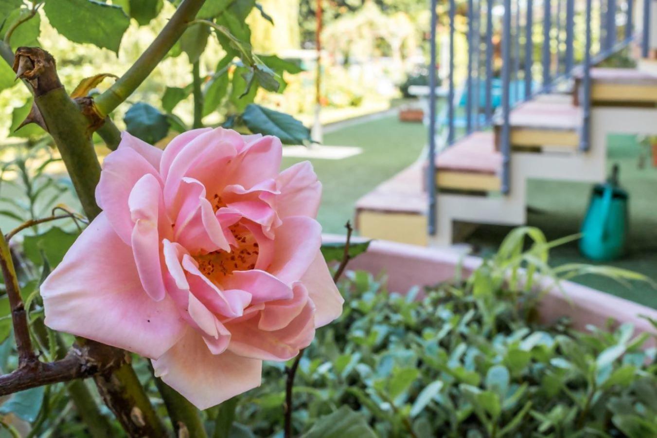 R37 Casa Tamarina Apartment Нумана Екстериор снимка